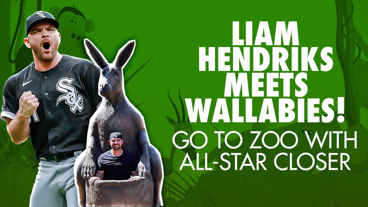 image 0 Zoo Tour With Liam! Aussie Liam Hendriks Plays With Adorable Wallabies Feeds Goats & Giraffes!